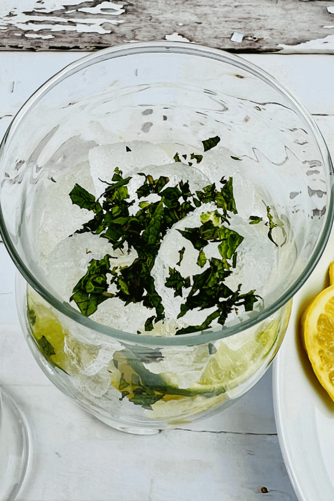 mint garnished on top of glass with ice, lemon and lime slices