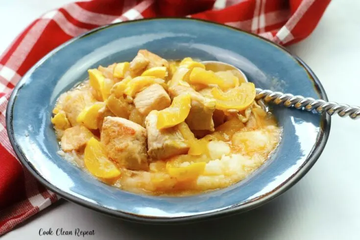A featured image showing the finished pork and yellow squash skillet meal in a bowl ready to be eaten.