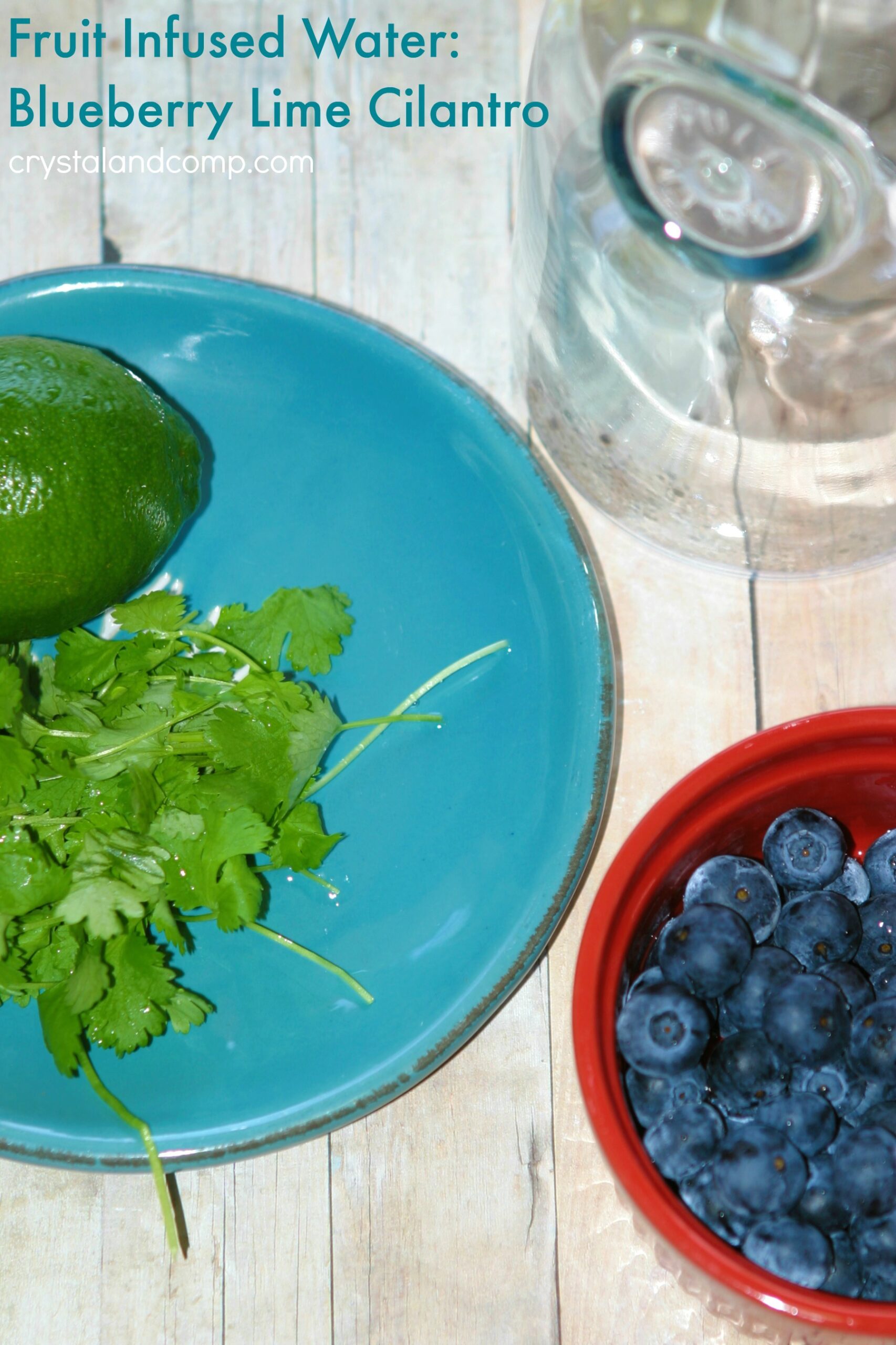 https://cookcleanrepeat.com/wp-content/uploads/2020/07/Fruit-Infused-Water-Blueberry-Lime-Cilantro--scaled.jpg