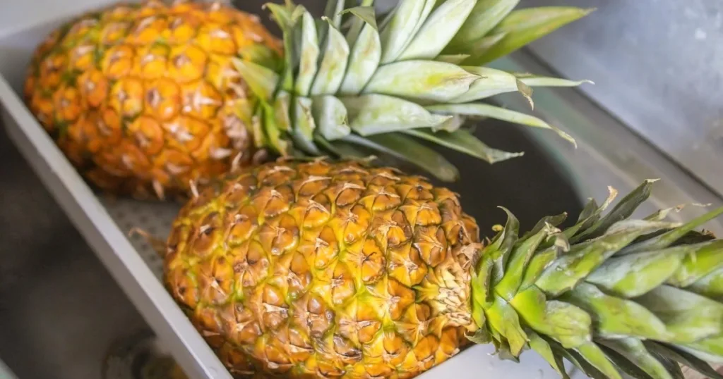 washing a pineapple