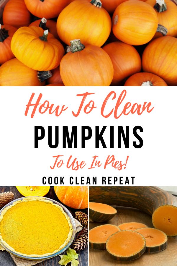 Ready to learn how to clean a pumpkin for a pie? Many people love the end process of a pie but don't know that there are some actual cleaning processes and steps that take place to get it clean and ready to enjoy.