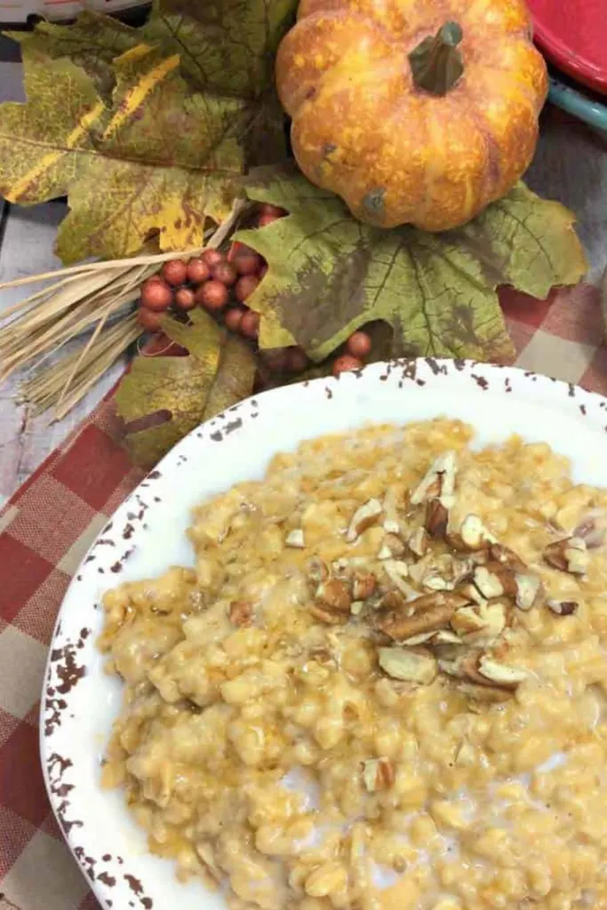 Tall image showing a bowl of the finished pumpkin oatmeal ready to serve. 
