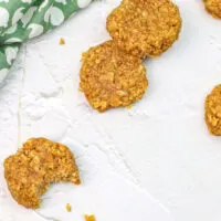 Featured image showing the finished no bake pumpkin cookies.
