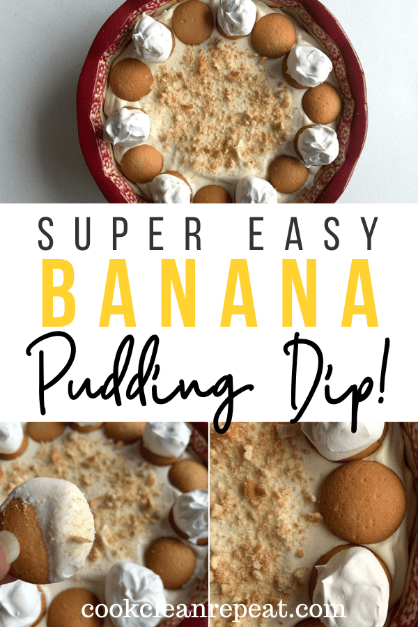Pin showing the finished Nilla wafer dip banana pudding dip top and bottom title across the middle.