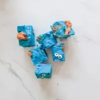 Featured image showing the finished Cookie Monster fudge ready to eat.