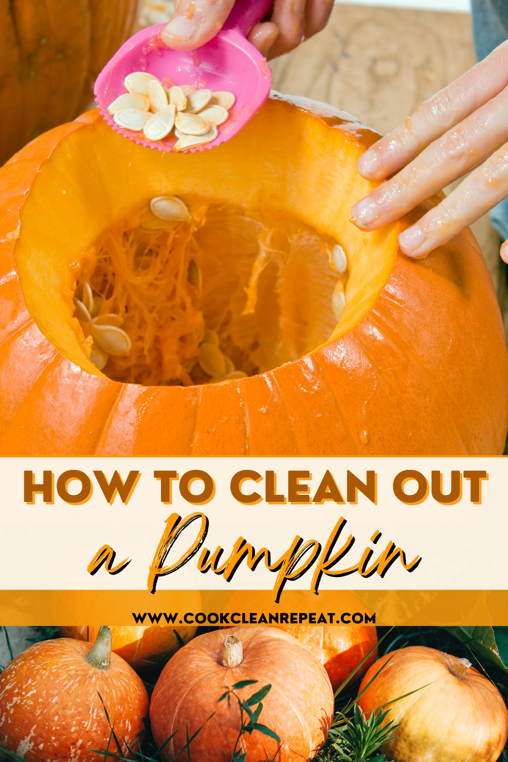 Pin showing the title How to Clean Out a Pumpkin