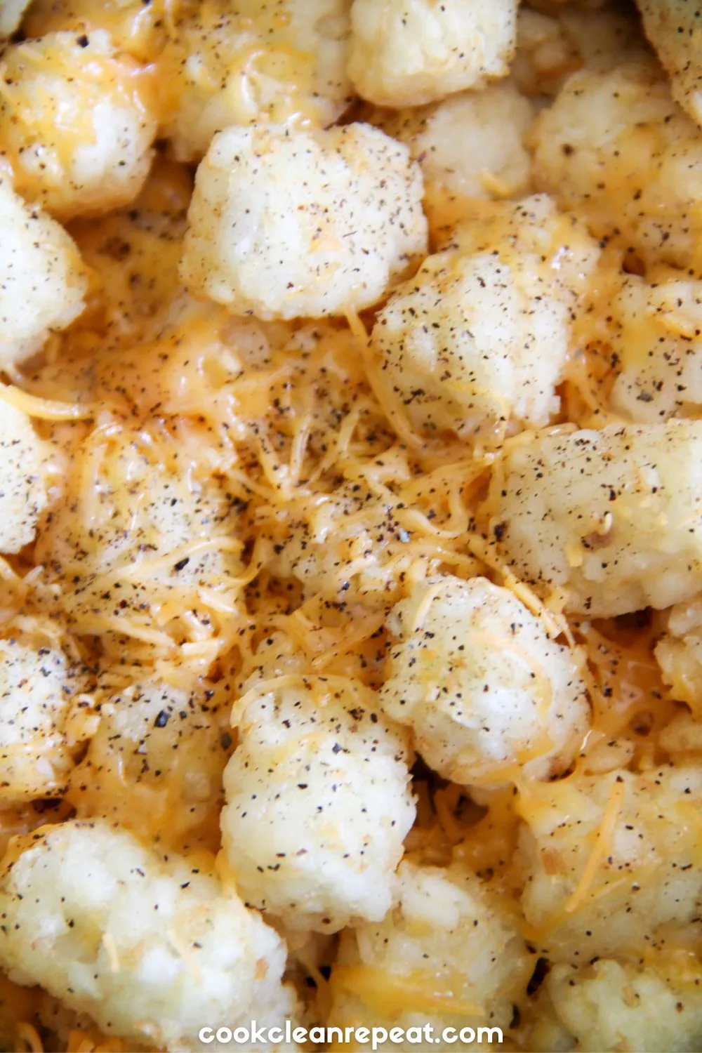 texture of tater tots with melted cheese