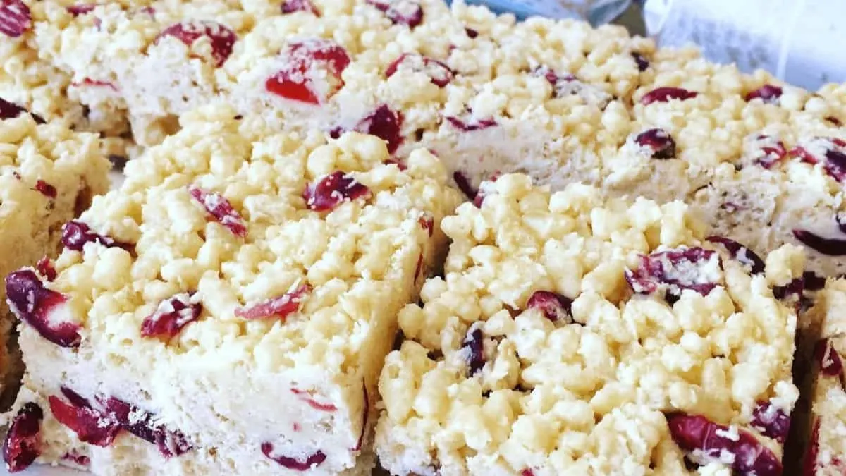 A cranberry and coconut rice krispie treat with white chocolate.