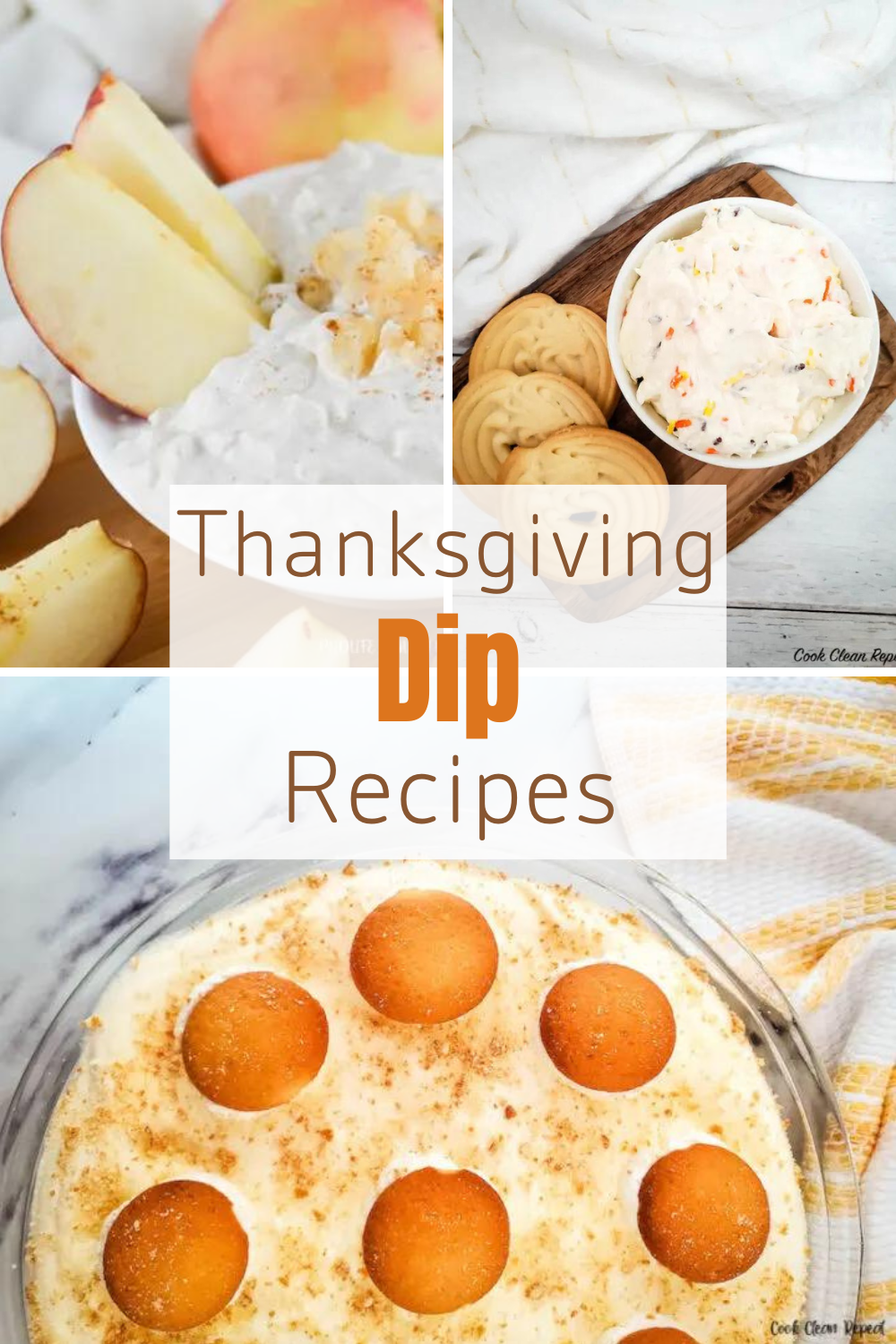 Thanksgiving Dip Recipes