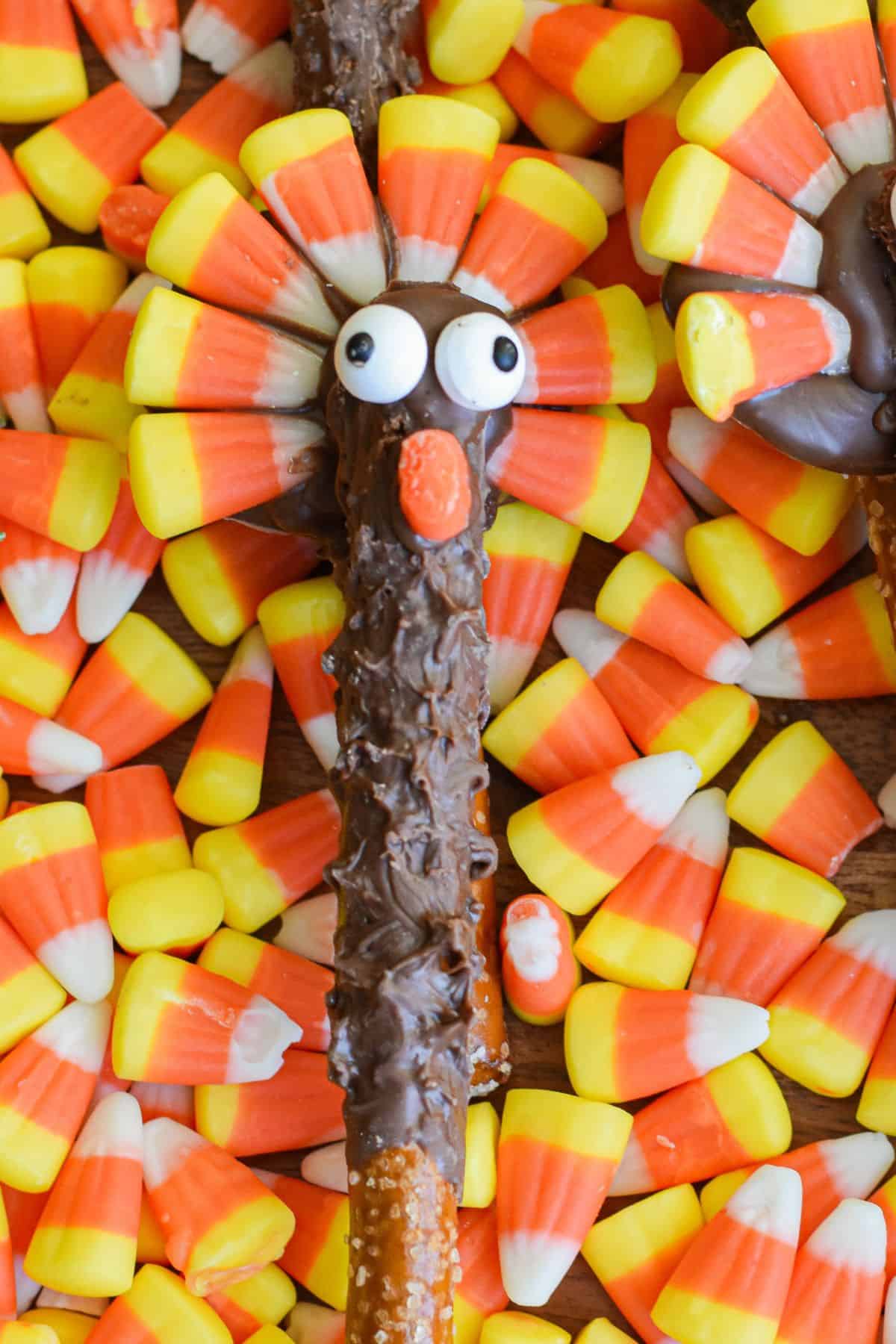 Close up candy turkey.