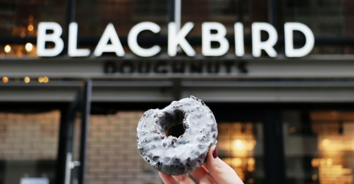 11 Must-Try New England Donut Spots Loved by Locals And Travelers Alike