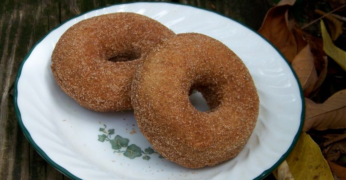 Fall In New Jersey Means Apple Cider Donuts At These Sweet Spots