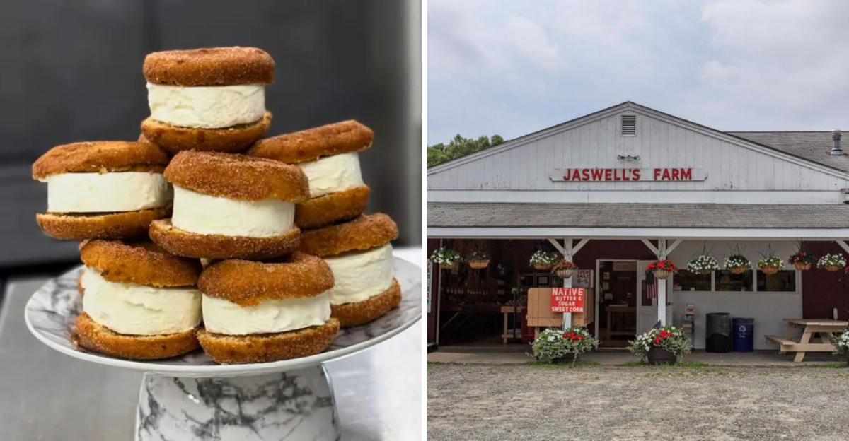 Meet The Apple Cider Donut Ice Cream Sandwich Everyone’s Talking About In Rhode Island