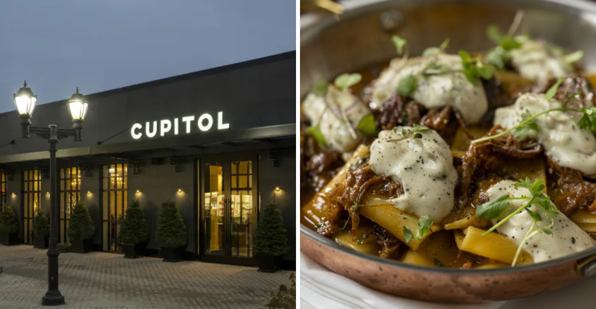 Taste Elevated Dining At Cupitol The Restaurant In Skokie, Illinois