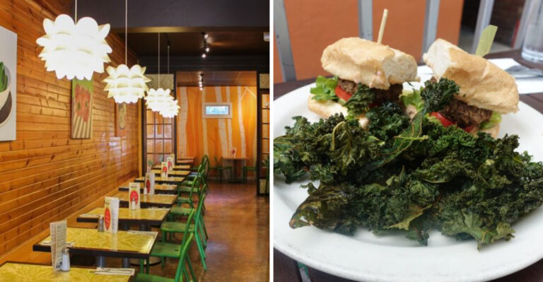 The Green Owl Cafe In Madison, Wisconsin Proves Plant-Based Dining Can Truly Take Flight