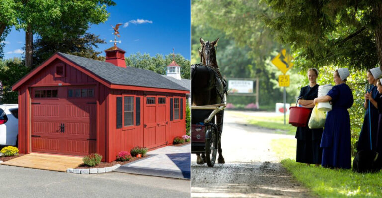 highlights showing why the markets at Shrewsbury deserves a stop on your travels