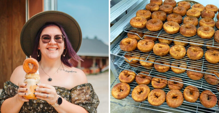 Top 13 Apple Cider Donuts Worth Traveling For In Illinois And Iowa