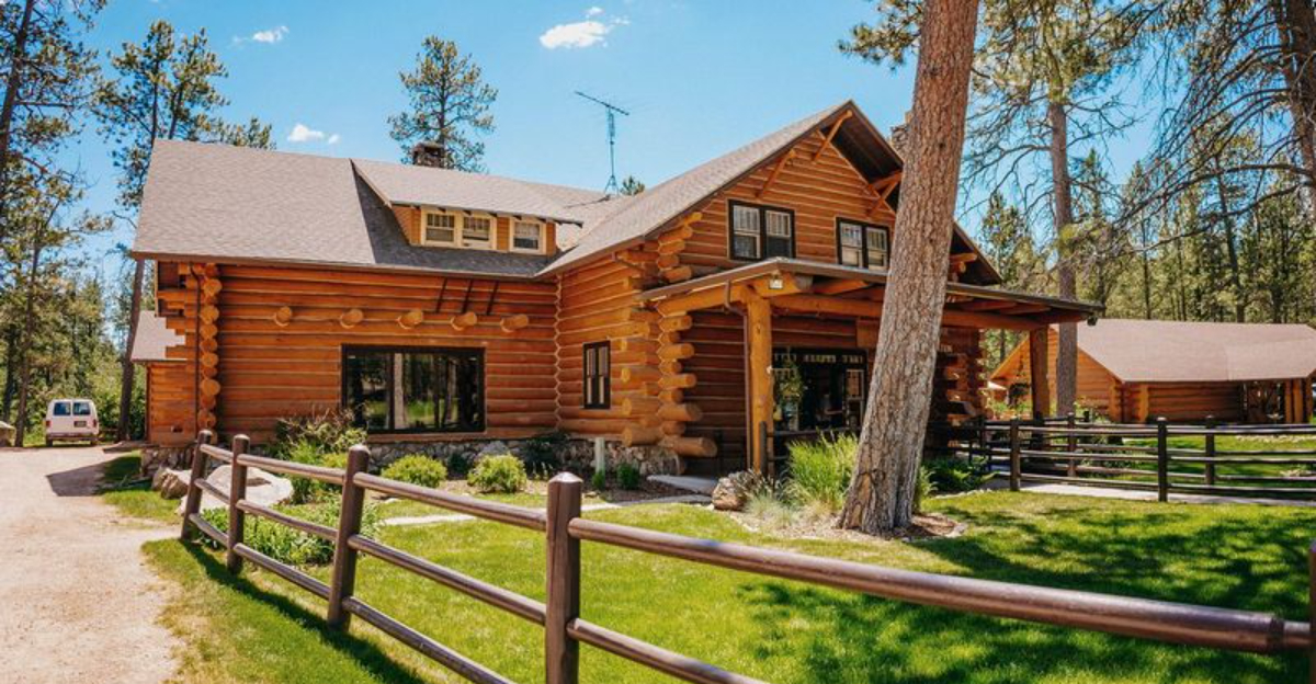 11 Places In South Dakota Where Buffalo Burgers And Bison Steaks Steal The Show