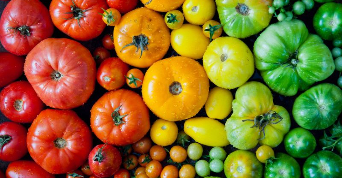 12 Local California Flavors That Define the State’s Cooking Style