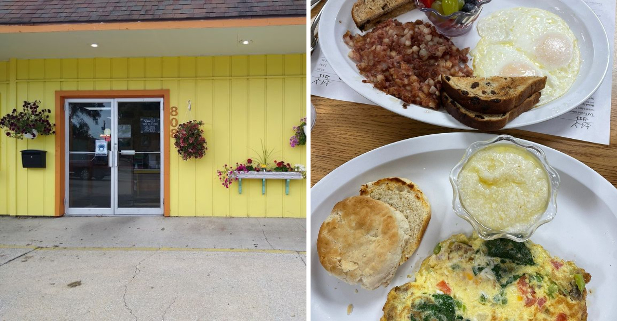 The Yellow Cat Cafe In South Bend Indiana Makes Every Morning A Little Brighter
