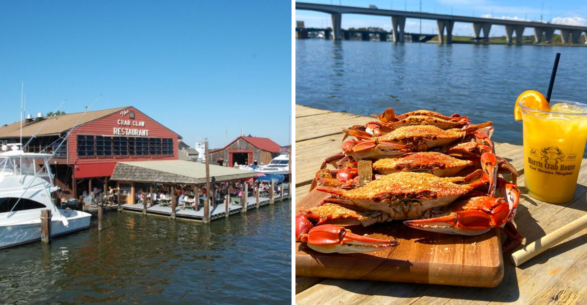 15 Maryland Bayfront Spots Where You Can Enjoy Crabs And Peaceful Views