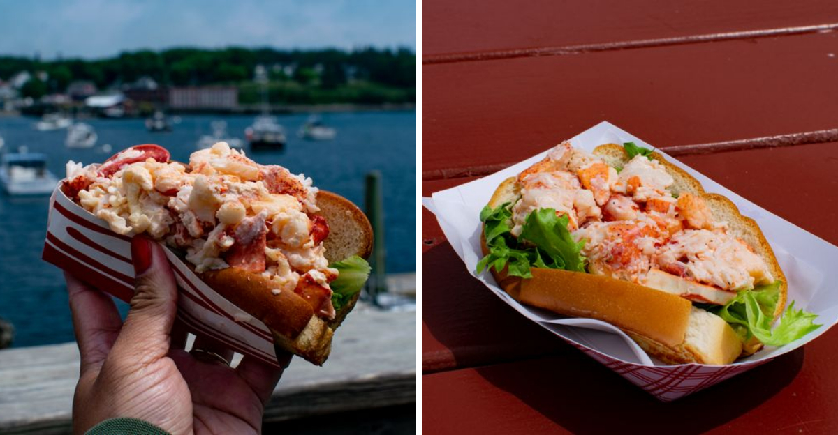 10 Must-Try Maine Lobster Rolls You’ll Keep Craving