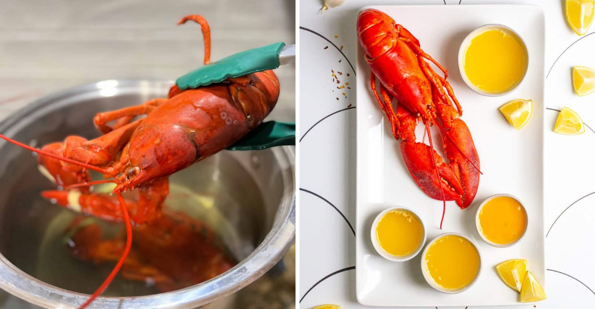 15 Common Mistakes People Make When Purchasing Lobster