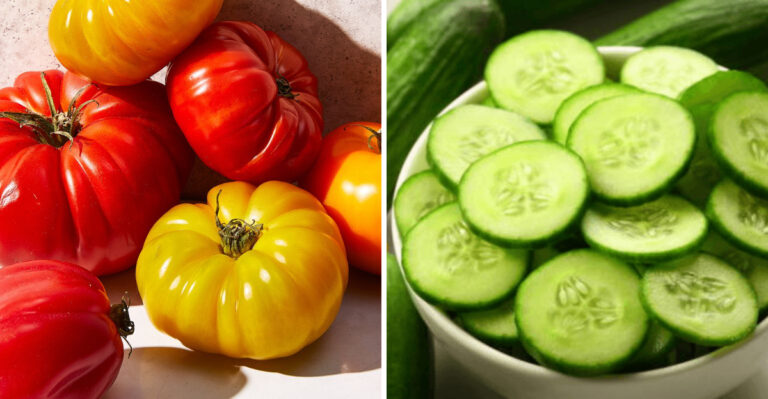 15 Vegetables That Might Not Be As Nutritious As You Believe
