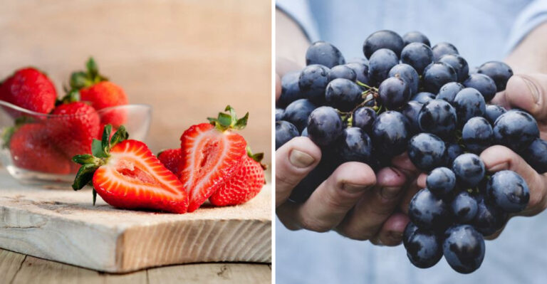 20 Fruits You Should Definitely Add To Your Diet