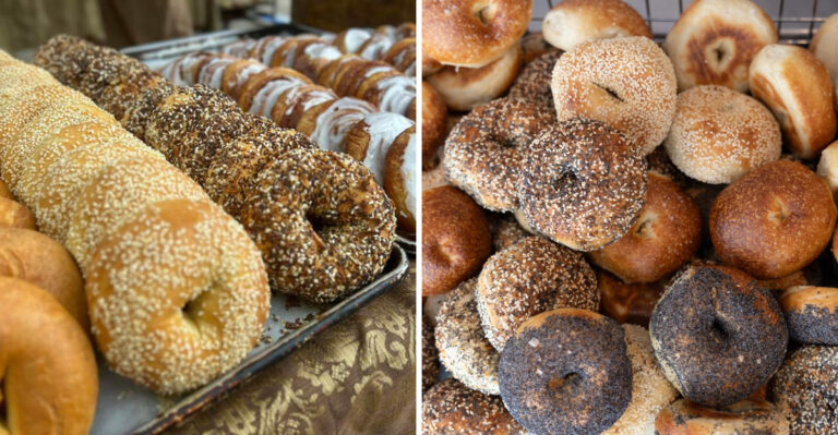 The Top Bagel Spot In Every State