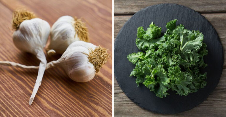 23 Nutrient-Packed Vegetables To Include In Your Daily Diet, According to Experts