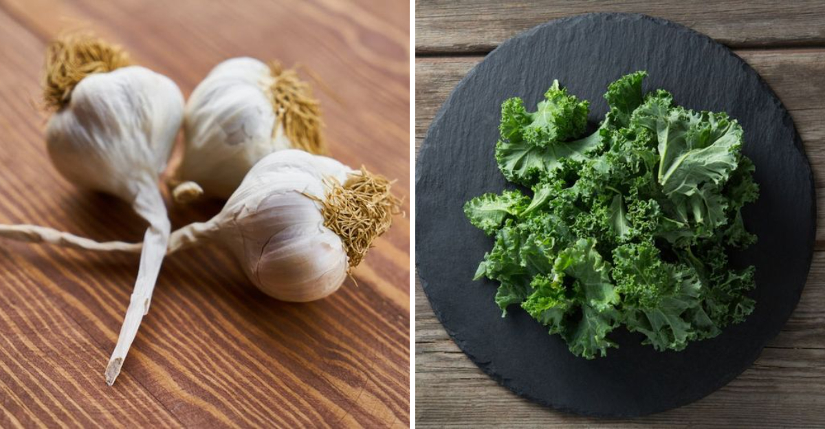 23 Nutrient-Packed Vegetables To Include In Your Daily Diet, According to Experts