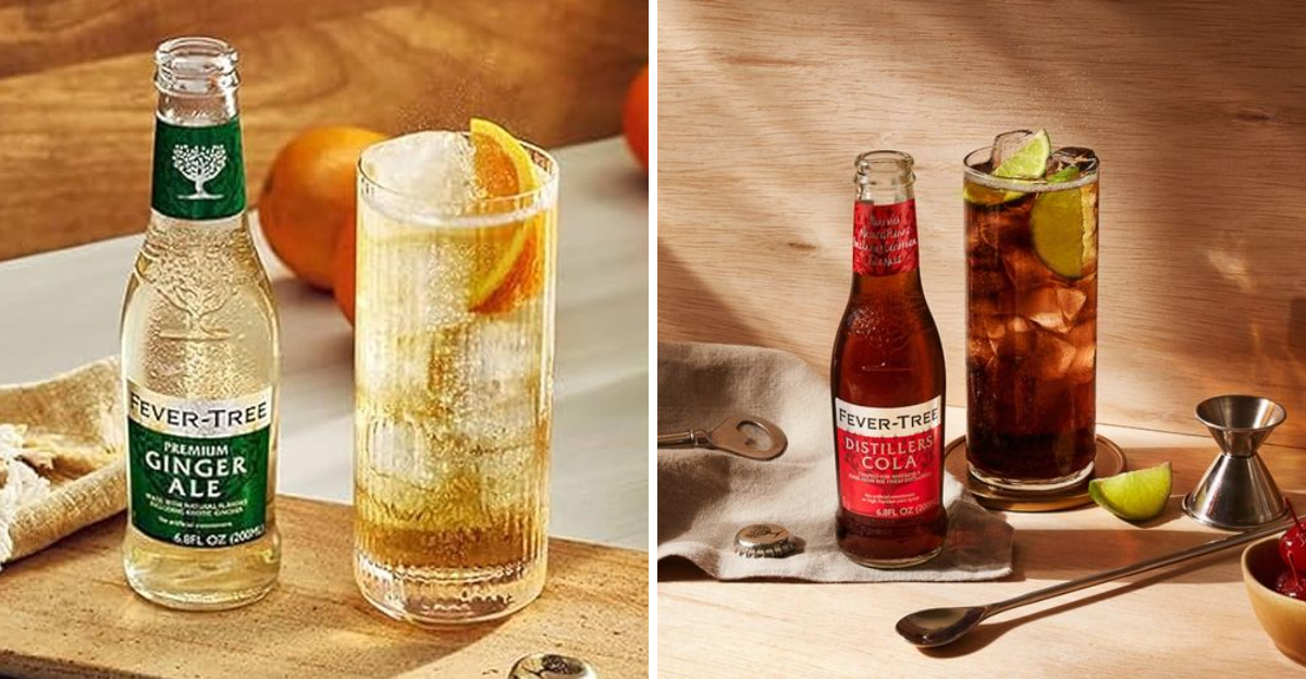 25 Best Ginger Ales You Should Try