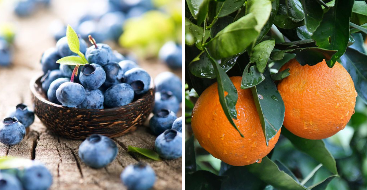 25 Sweet Fruits With Low Sugar Content