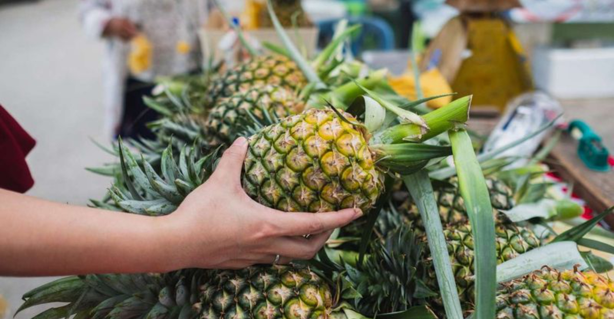 How To Pick The Perfect Pineapple In 12 Easy, Foolproof Steps