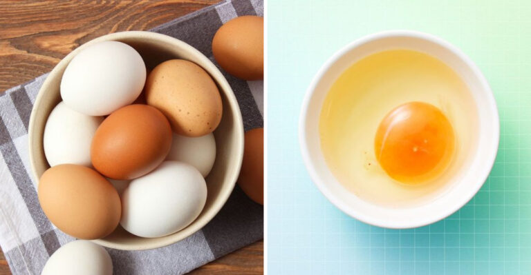 20 Common Egg Myths Debunked