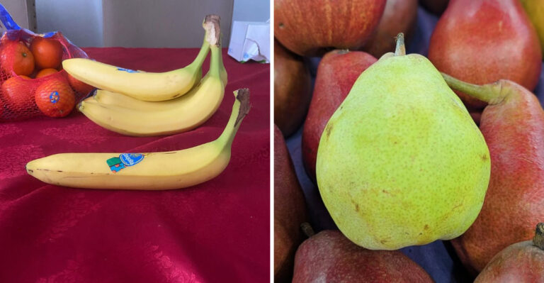 10 Fruits That Dominate Global Harvests