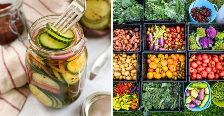 15 Practical Ideas For Cooking With Wild Edible Plants